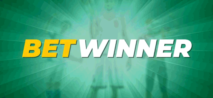Exploring South Africa Betwinner A Complete Guide for Gamblers