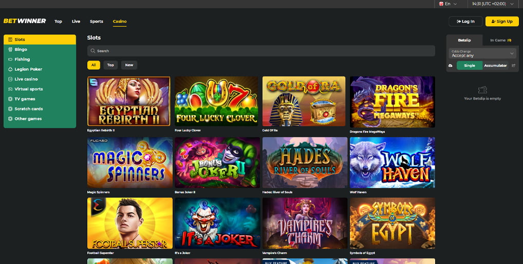 Exploring South Africa Betwinner A Complete Guide for Gamblers