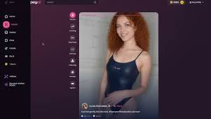 Swipey AI NSFW Redefining Adult Content Creation