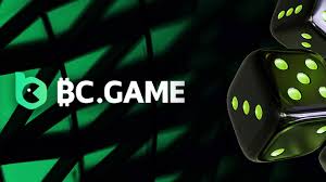 Understanding BC Game Crash A Guide to Strategies and Winning Tactics