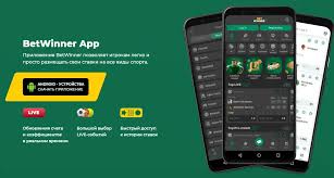 Exploring Baji Live A Comprehensive Guide to the Platform