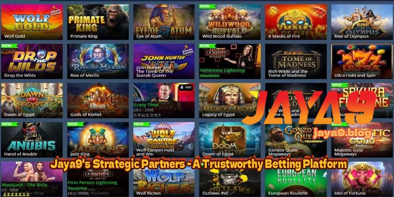 In-Depth Cricket Betting Data Analysis Strategies for Success