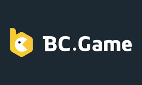 Understanding the BC.Game DE Login Process Steps & Tips
