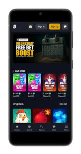 Bitfortune A Comprehensive Guide for New Mobile Users