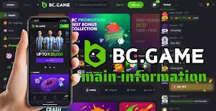 Experience Excitement at BC.Game Casino Experience Excitement at BC.Game Casino