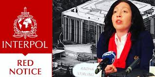Expert Red Notice Removal Lawyers Your Defense Against International Arrests